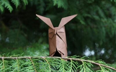 Origami – umjetnost savijanja papira