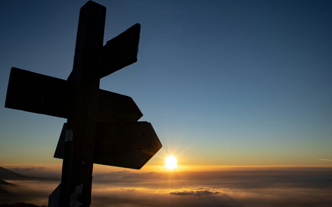 Poziv agencijama – ekskurzija 8. razreda